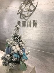 -紫御国际抗衰ZOE ANTI AGING