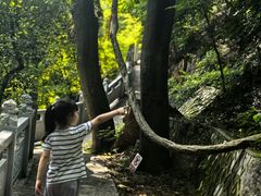 -宝通禅寺