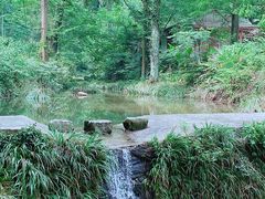 -素山寺森林公园