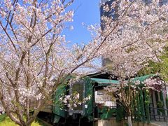 -新天地活力PARK