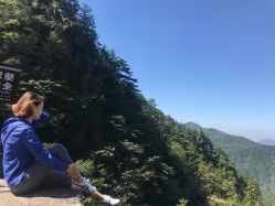 -艺之剪