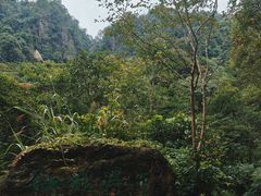 -姑婆山旅游区