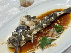 -品悦酒店(三林古镇店)