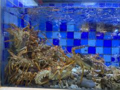 -渔家海鲜舫(宝湖路店)