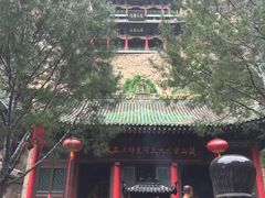 -藏山旅游风景区