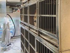 -帕帕拉兹宠物(亚洲旗舰店)