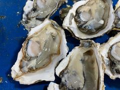 -三亚新鸿港水果一级批发市场