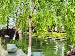 -COSTA COFFEE(西湖天地店)