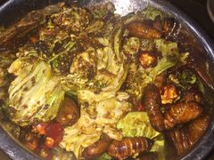 -辣盆盆麻辣小龙虾(哈尔滨总店)