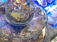 -新海渔港·胶东海鲜家常菜·家宴(奥体中心店)