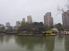 -青枫公园