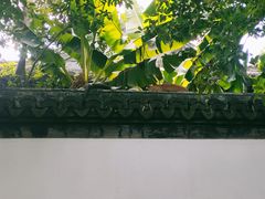 -秋霞圃