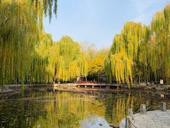 -玲珑塔公园