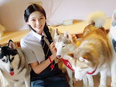 -Husky Go! 哈士奇体验馆·宠物咖啡厅狗咖