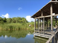 -溱湖国家湿地公园