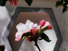 -海棠花溪(元大都城垣遗址公园)