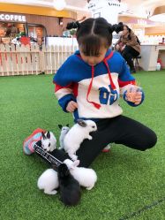 -萌宠亲子动物乐园(槐房万达店)