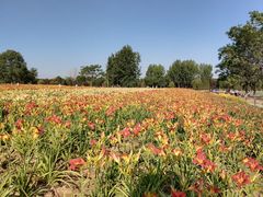 -汉长安城未央宫国家考古遗址公园