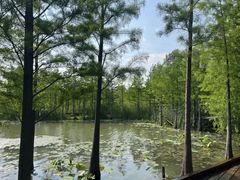 -昆山城市生态森林公园