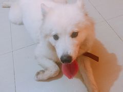 -宠颐生动物医院·全科·骨外科中心·利宠康分院