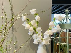 -dotcom coffee古点咖啡(致真大厦店)