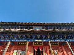 -大槐树寻根祭祖园