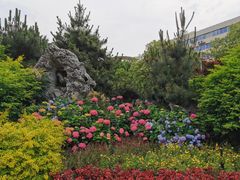 -常州古运河南大街文化旅游区-人民公园