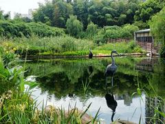 -苏州河梦清园环保主题公园