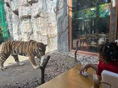 -上海野生动物园老虎餐厅