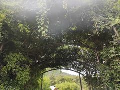 -南京汤山紫清湖生态旅游温泉度假区