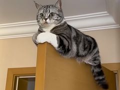 -家乐福(古北店)