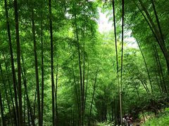 -藏龙百瀑风景区