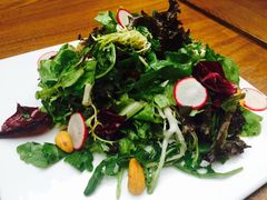 -百好乐宠物友好餐厅(朝外大街店)