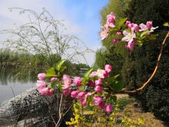 -马家湾湿地公园
