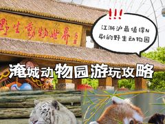 -常州淹城野生动物世界