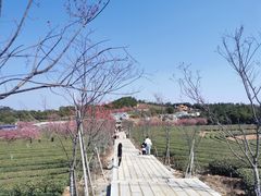-锄山村