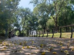 -长白岛森林公园