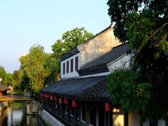 -鲁镇