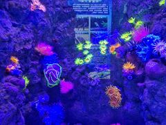 -成都浩海立方海洋公园