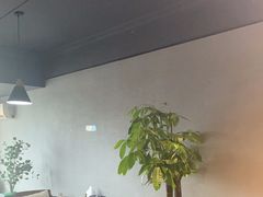 -梵猫·新养生(湛江鼎盛店)