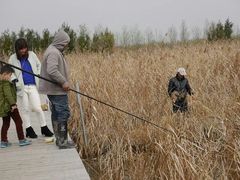 android_upload_pic-漩门湾国家湿地公园