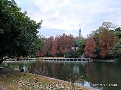-荔枝公园(福田区)