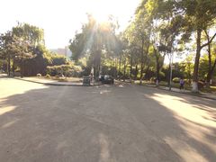 -爱达乐面包生日蛋糕(郫县时代天街店)