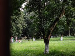 -张坝桂圆林公园