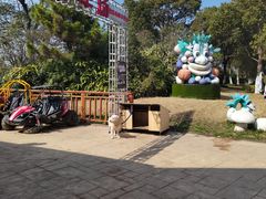 -上海都市菜园