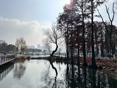 -武汉动物园