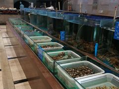 水产区-蓝港海鲜厨房(金水路店)