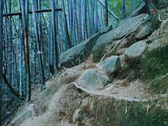 -莫干山风景区