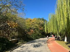 -南翠屏公园