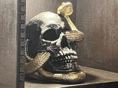 -雪灵魔法世界SHELLY’S TAROT(大良桂畔里店)